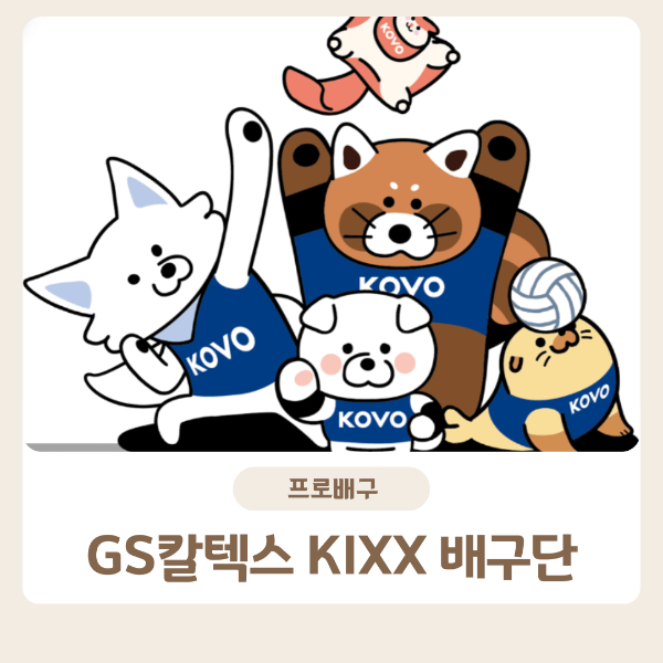 GS칼텍스 경기일정 예매