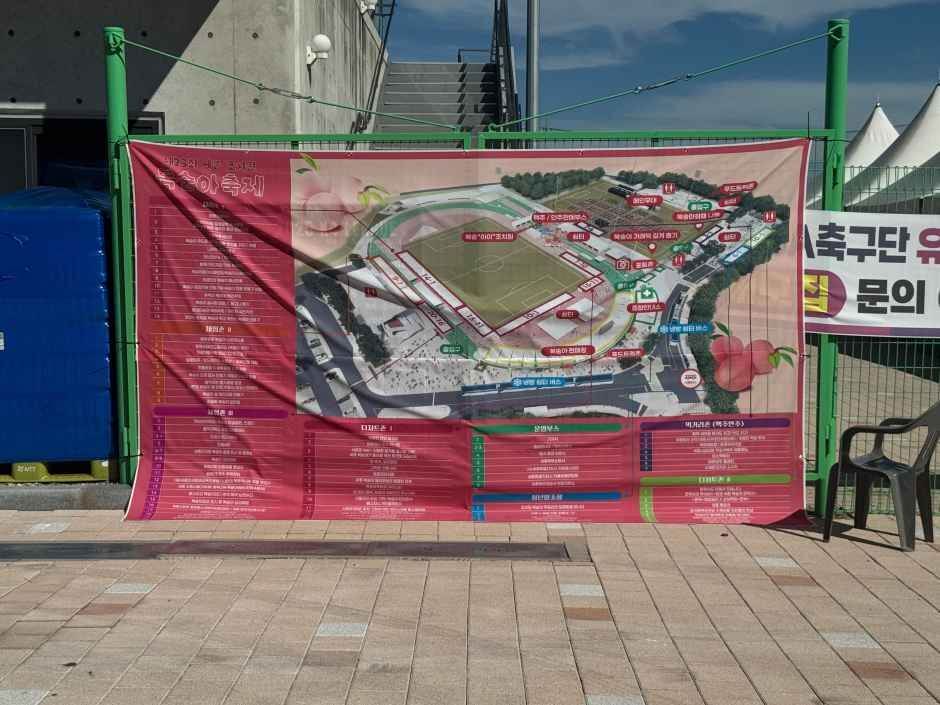 세종 조치원 복숭아 축제