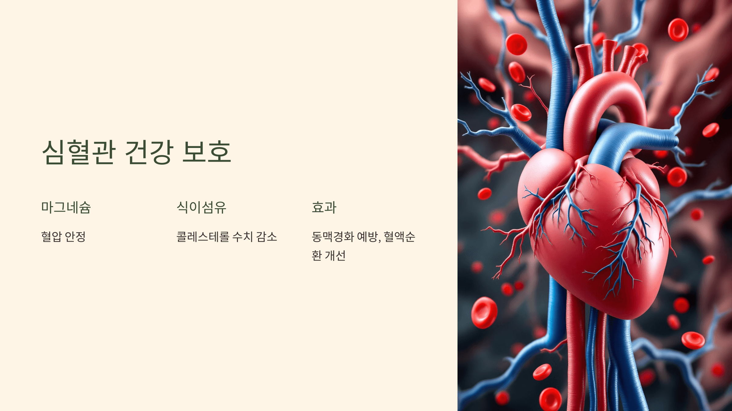 파로 효소와 관련된 사진입니다.