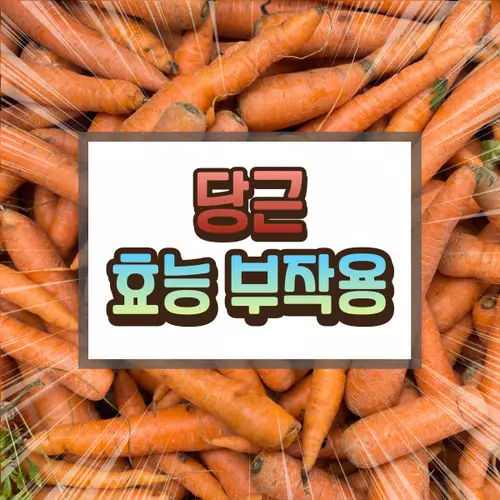 당근 효능 부작용에 대하여