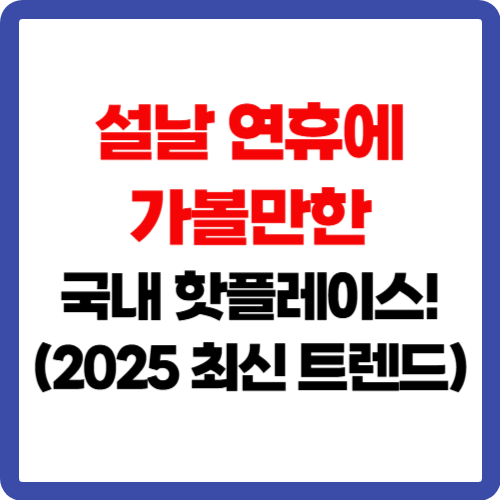 설날 연휴에 가볼만한 국내 핫플레이스! (2025 최신 트렌드)