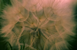 62년생 국민연금 수령나이 수령시기