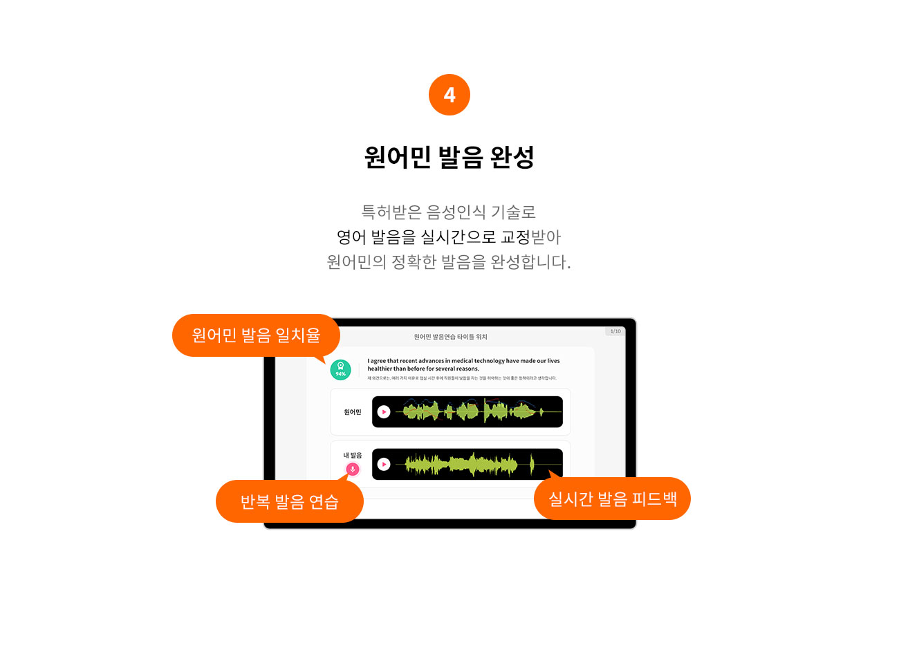 뇌 새김 영어