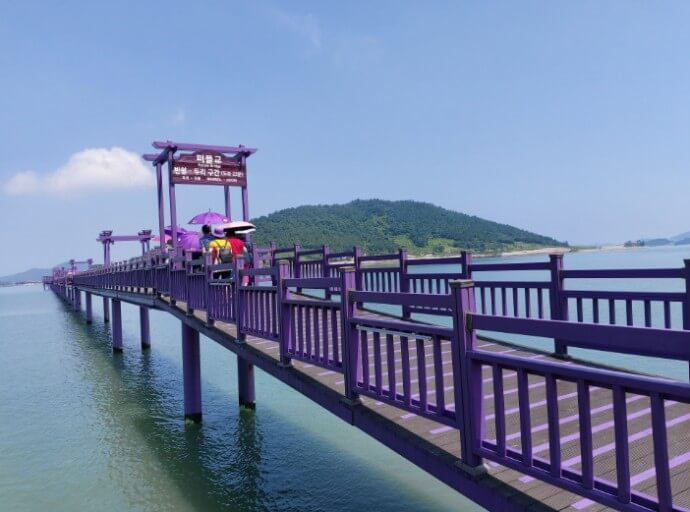 전라남도 신안군 퍼플섬