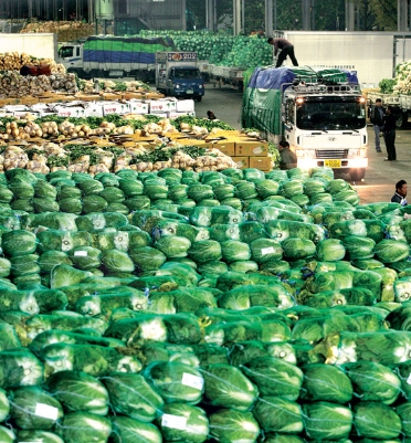 걱정 없는 2024년 김장 준비