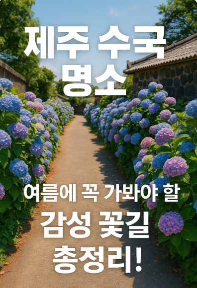 제주 수국 명소