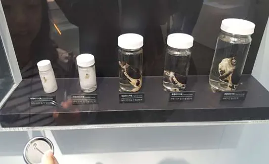 씨큐리움
