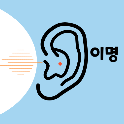 이명 증상