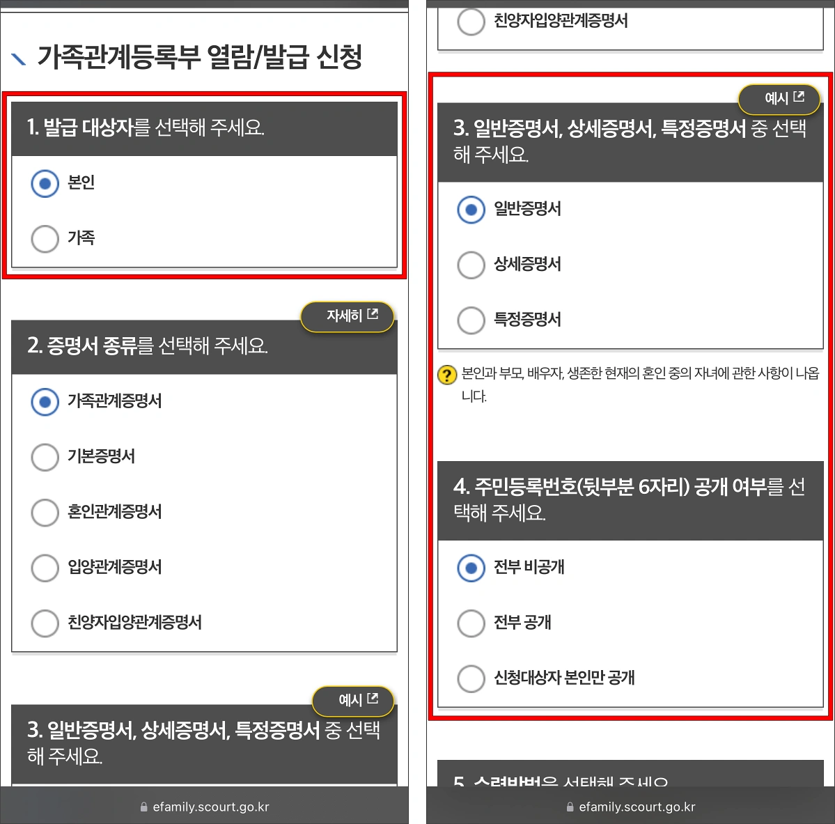 발급 대상자와 증명서의 유형, 주민등록번호 공개 여부를 선택