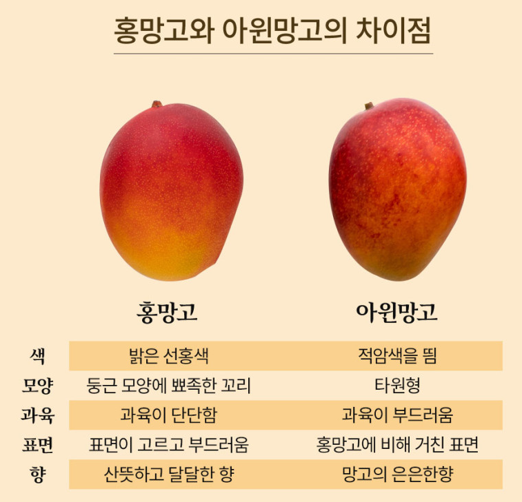 홍망고 특징