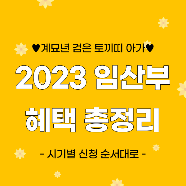 2023-임산부-혜택