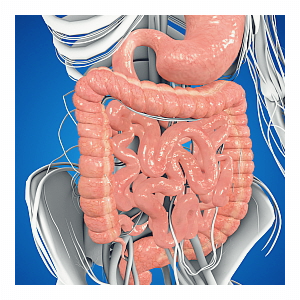 대장내시경-전-음식주의사항 