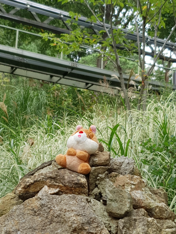 풍경6