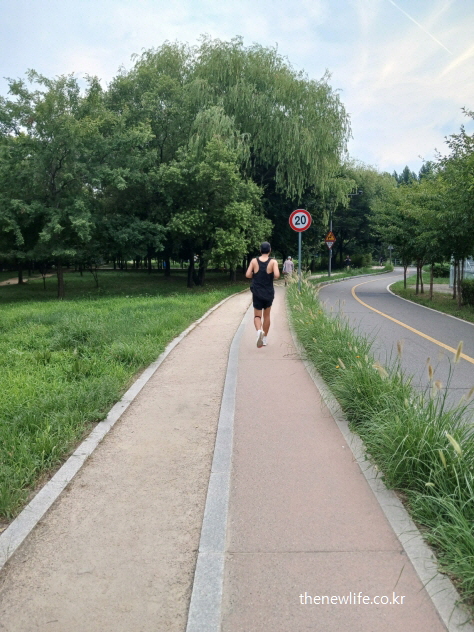 여름철 도로에서 조깅 중인 남성 – 땀 배출과 함께 전해질 손실로 소금의 필요성을 보여주는 장면