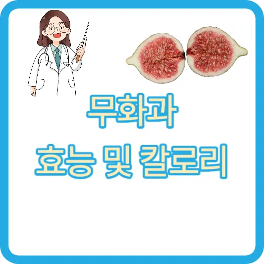 무화과 효능 및 칼로리 9~10월 제철