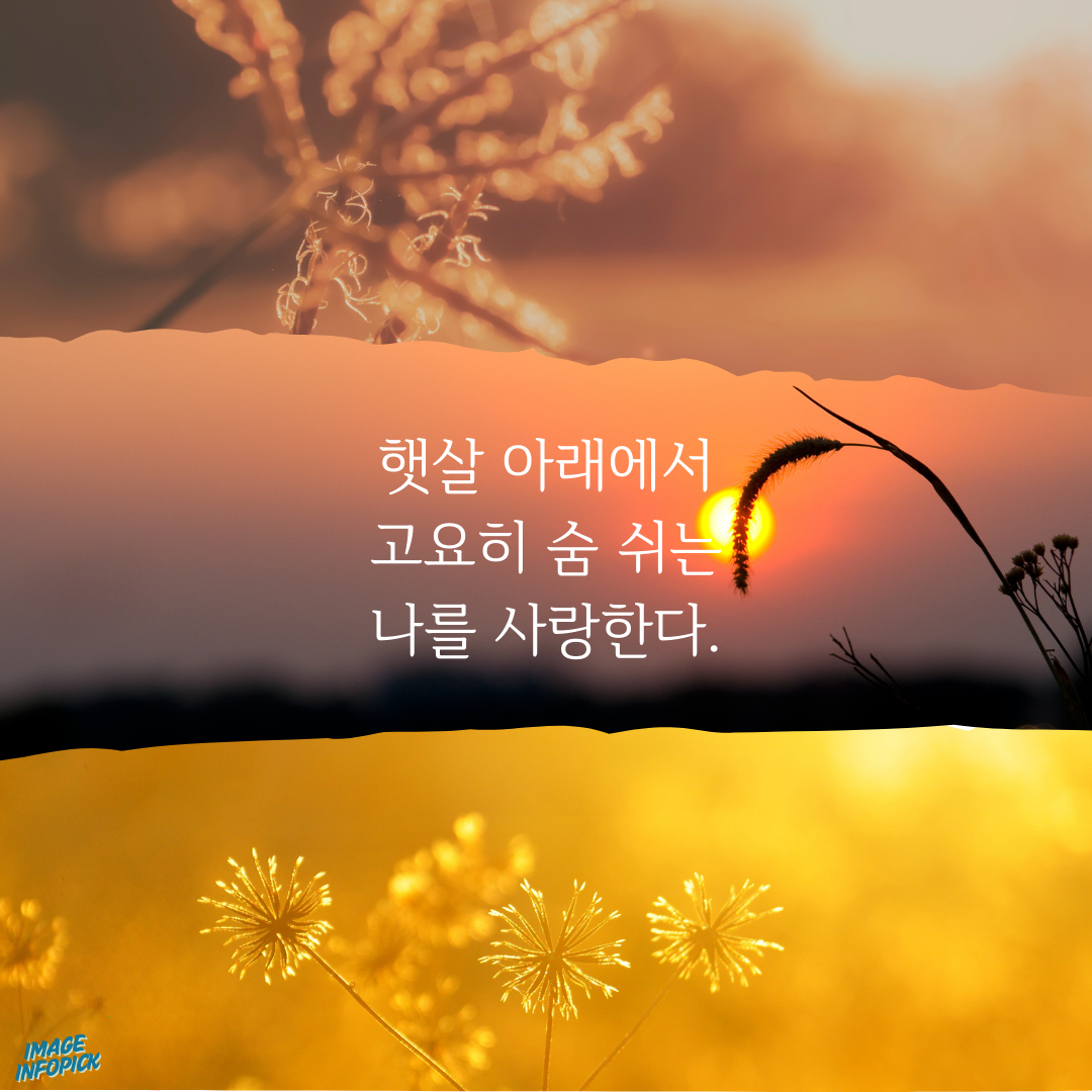 카톡 좋은 글귀 감성 글귀 감동 문구 이미지 모음