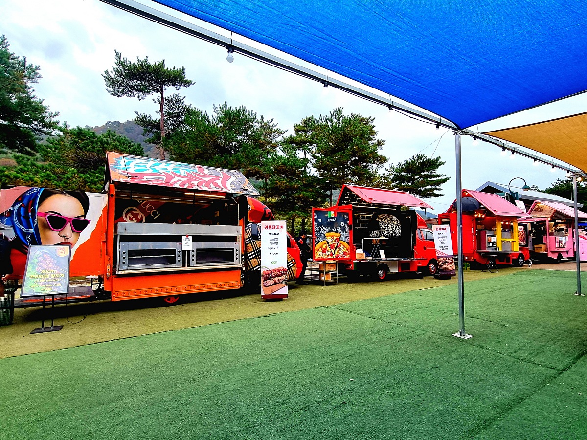 다시 찾아간 2024 인제 가을꽃축제: 국화&amp;#44; 야생화&amp;#44; 수변산책로&amp;#44; 숲 속 꽃길의 매력