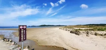 태안 신두리해수욕장 신두리해안사구 자연 풍경과 체험_4