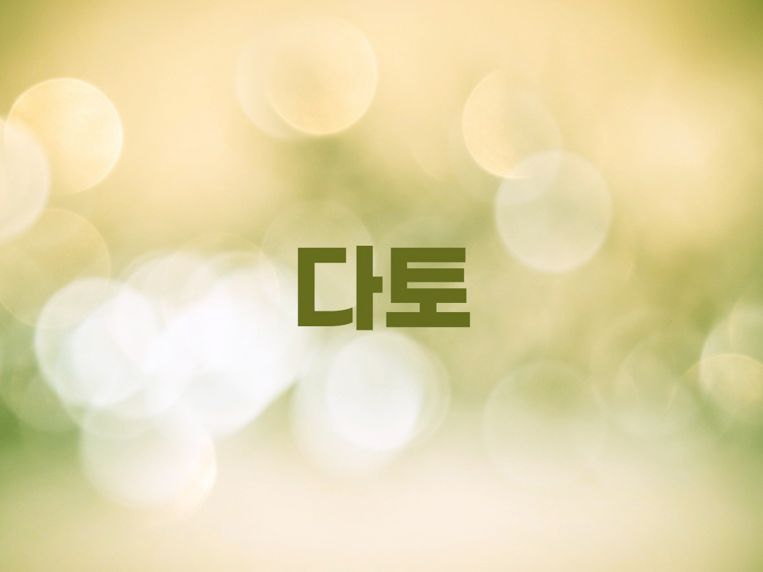 다토 천주교 남자세례명