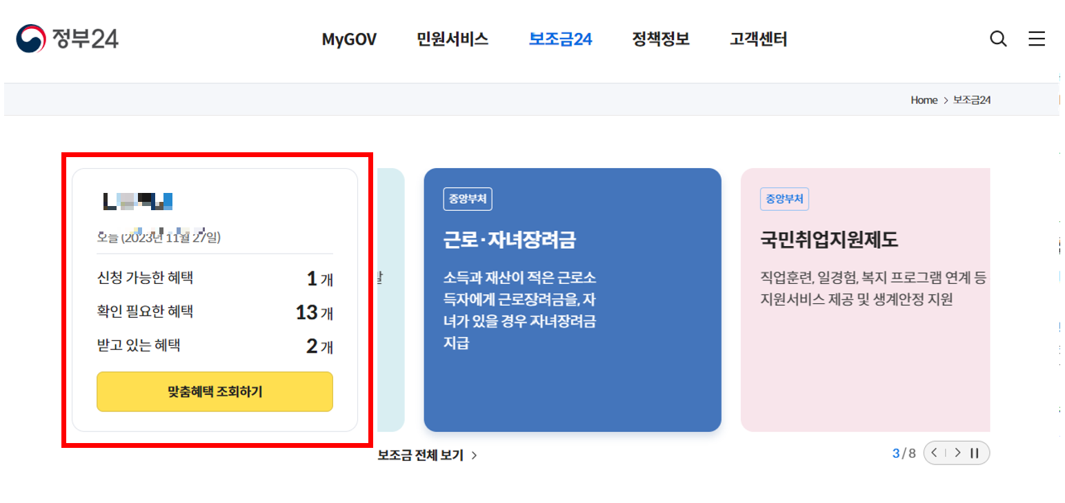 정부지원금