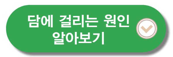 담에 걸리는 원인 알아보기
