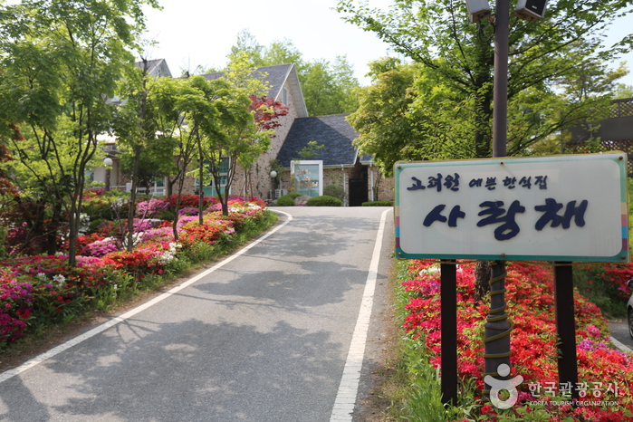 원주 용수골 꽃양귀비 축제