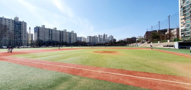 배재고등학교 야구부 지역 비하 응원 논란 청룡기 야구 광주일고 탱크데이 AI 사과문 징계 수위 총정리