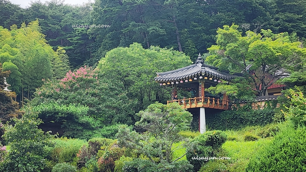 사명암,전각과 백일홍