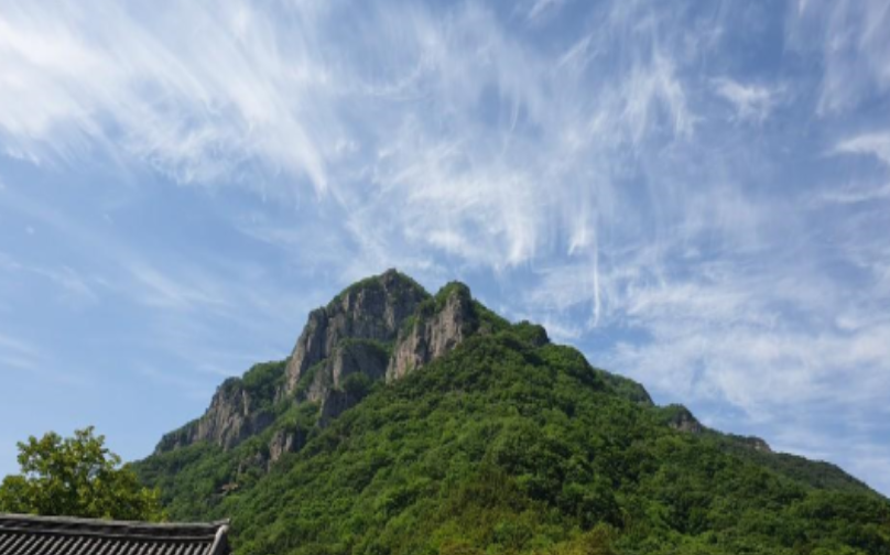 백양사 템플스테이 휴식형 체험형 프로그램, 예약 방법, 후기 총정리