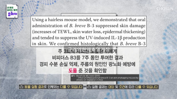 비피더스 b3 유산균의 효능 및 부작용