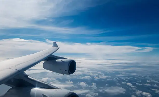 비즈니스석 이코노미석 가격차이 최대 5배? 차이점·가성비 기준 정리