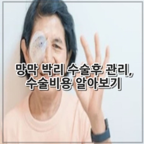 망막 박리 수술후 관리, 수술비용 알아보기