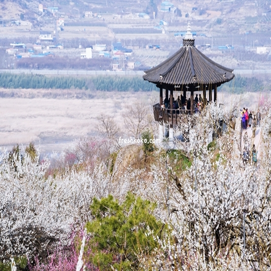 2월 축제 가볼만한곳 베스트10