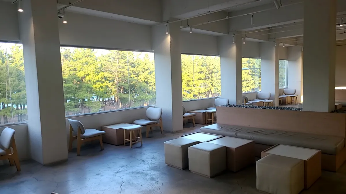 속초-보사노바카페내부-창밖으로-소나무와-바다가보임