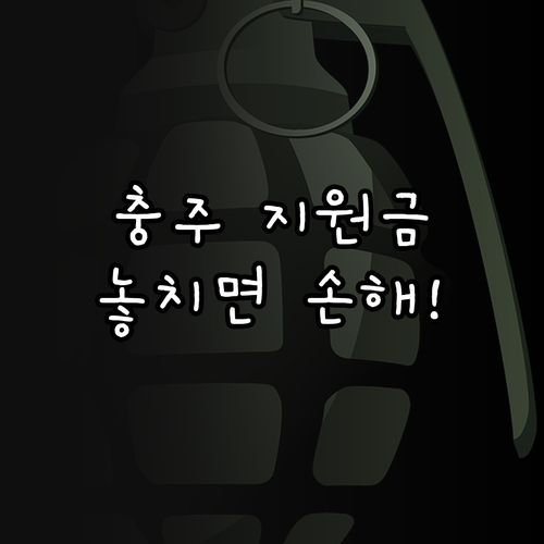 19세부터 39세 청년 2025 충주..