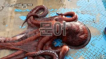 전현무계획2 문어숙회 수제비 골뱅이 맛집 위치 안내_17