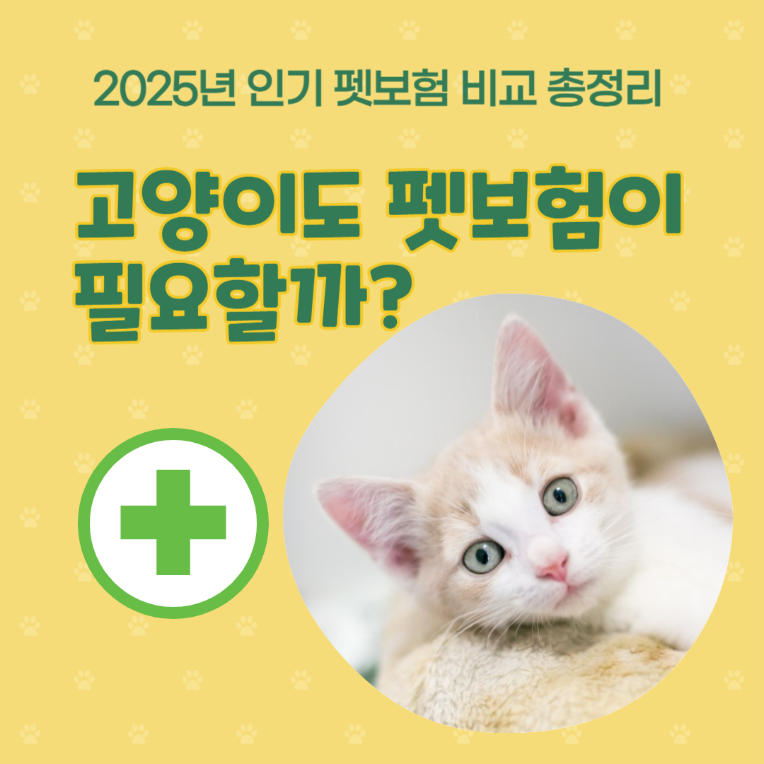 고양이 펫보험