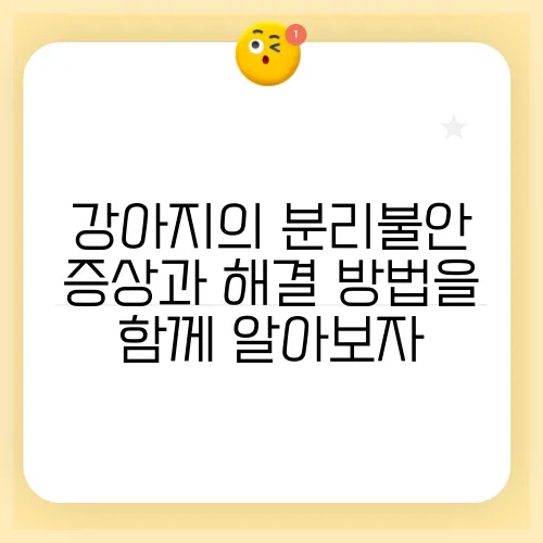 강아지의 분리불안 증상과 해결 방법을 함께 알아보자