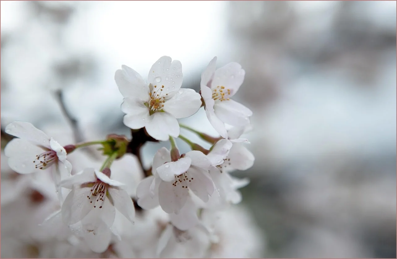 우리은행 예금금리