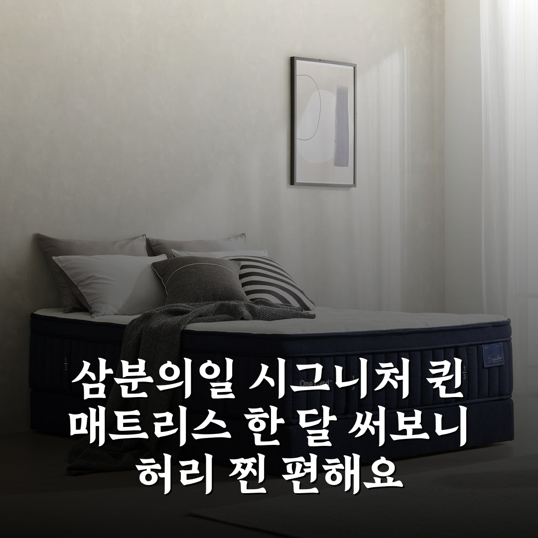 삼분의일 시그니처 퀸 매트리스 허리에 좋은 침대 프리미엄 고밀도 메모리폼 라텍스 상세 보기