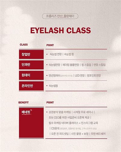 속눈썹 창업