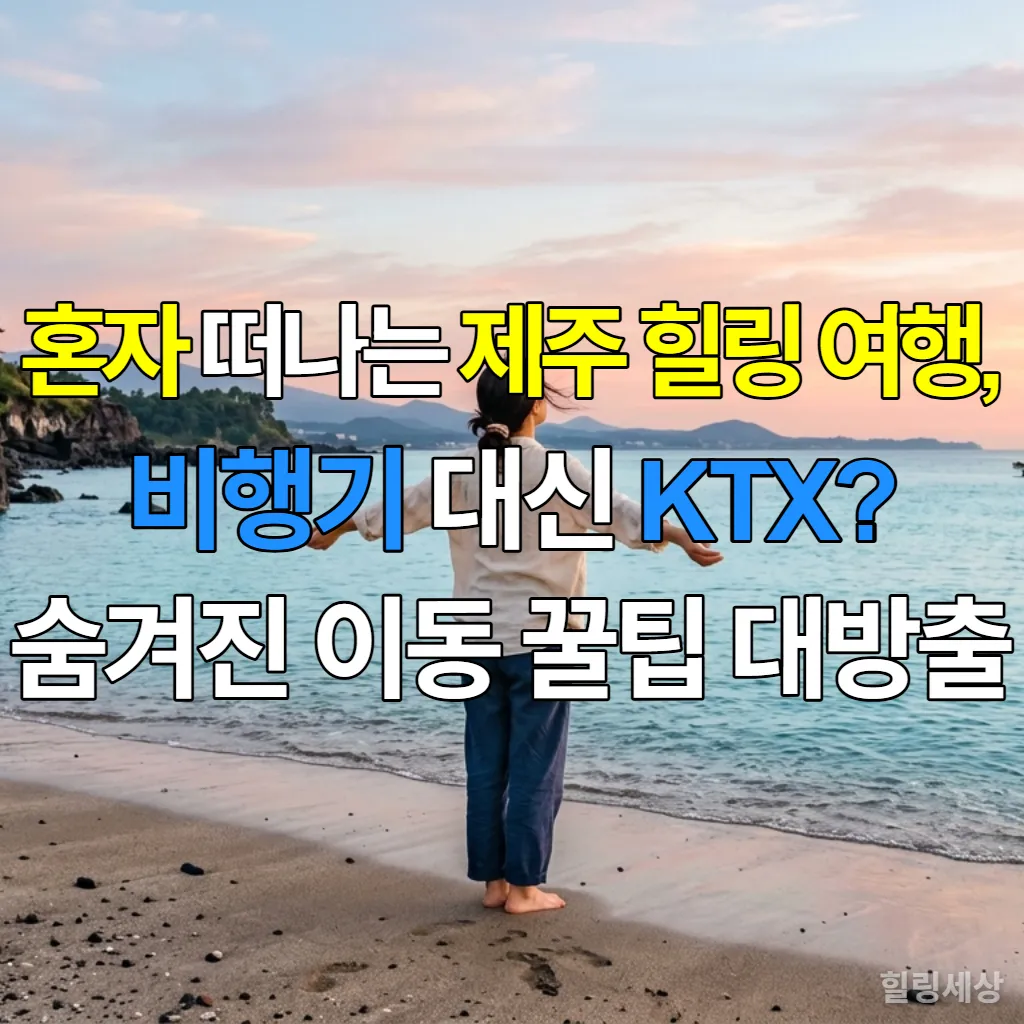 제주도 해변에서 일출을 바라보며 힐링하는 젊은 한국 여성의 뒷모습