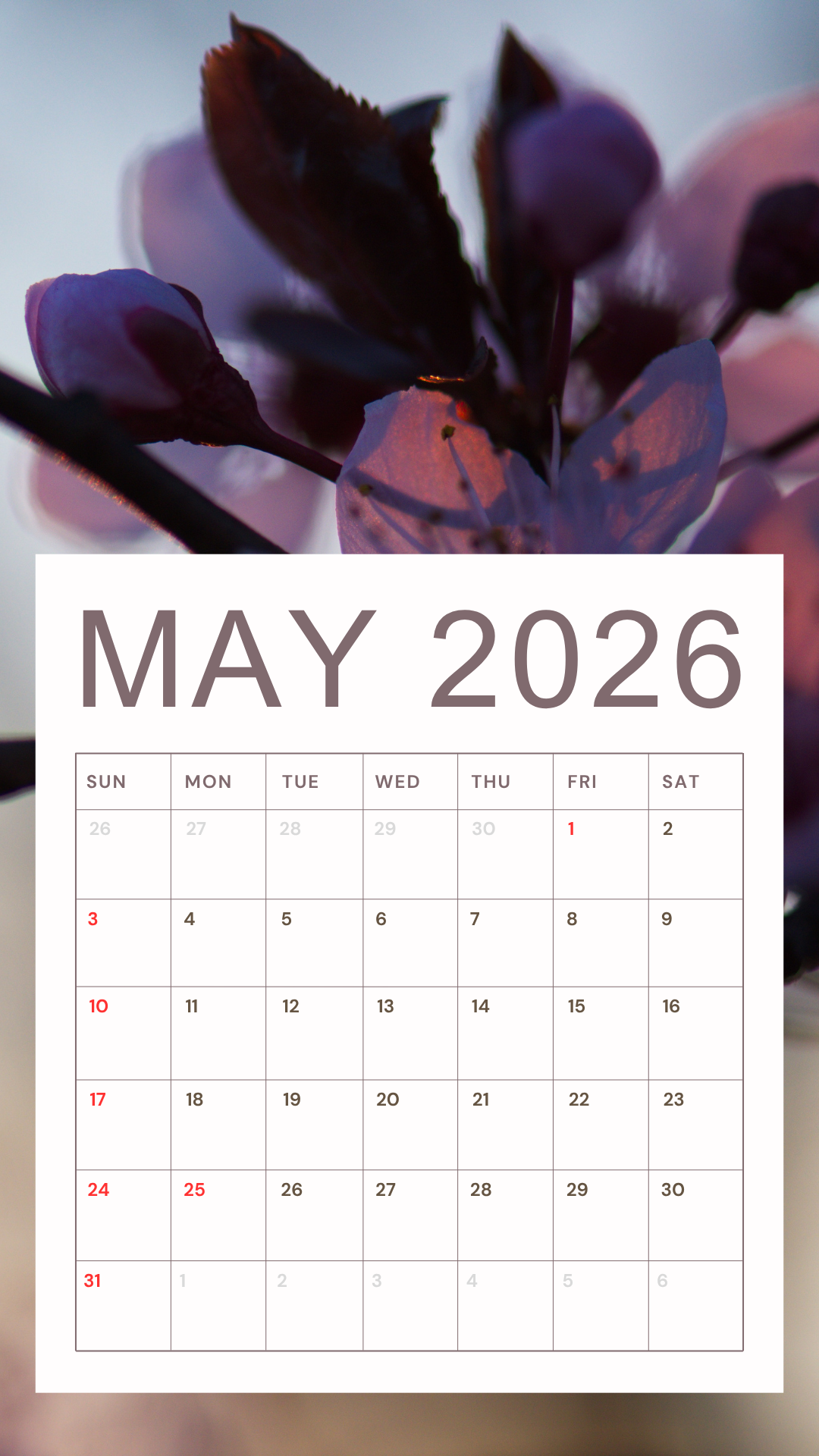 2026년5월 달력 배경화면 스마트폰 바탕화면 이미지 사진 모음