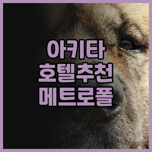 아키타 여행 필수 숙소 추천 호텔 메