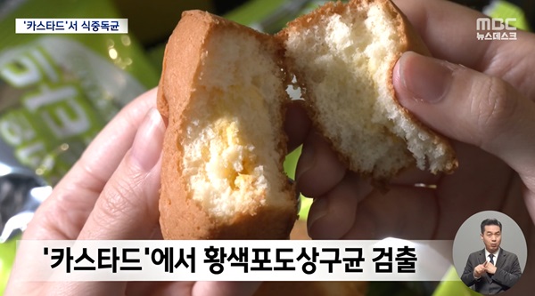 카스타드 식중독균