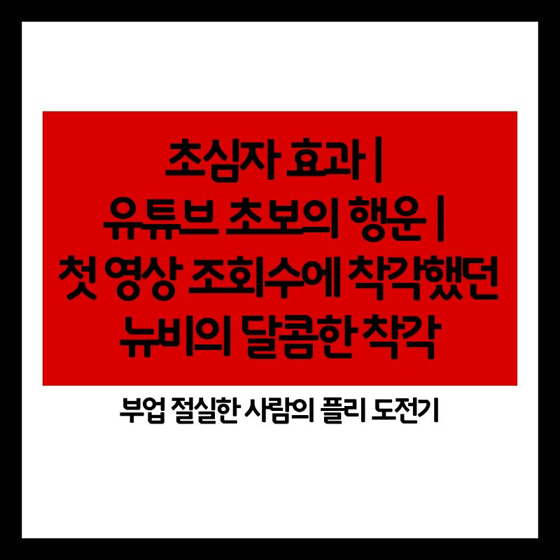 2화: 초심자 효과 ❘ 유튜브 초보의 행운 ❘ 첫 영상 조회수에 착각했던 뉴비의 달콤한 착각