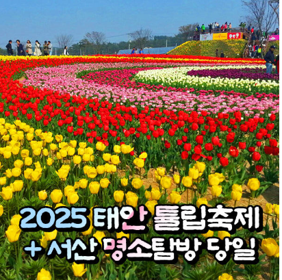 태안 튤립공원