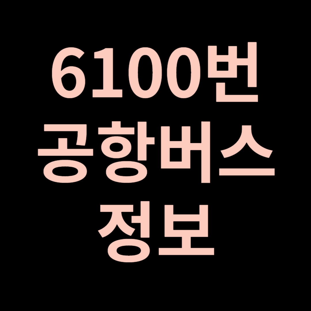 6100번 공항버스