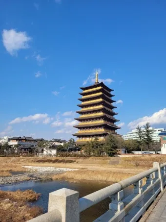 경주 가볼만한곳 베스트 10 역사 여행과 문화유산 탐방_21