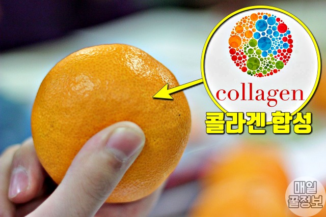 뼈 잘붙는 음식,뼈에 좋은 음식,골다공증에 좋은음식,귤